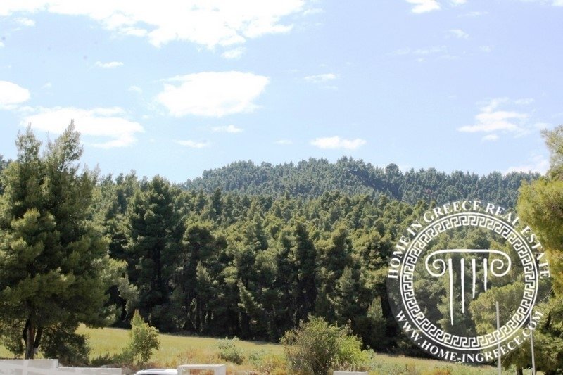 Villa in Pallini Municipal Unit, Macedonia and Thrace, Greece 5 - 18080049
