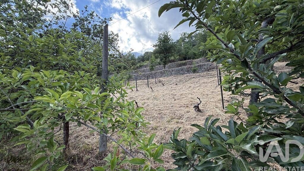 Farm Ranch in Parada de Cunhos, Vila Real District, Portugal 5 - 17859734
