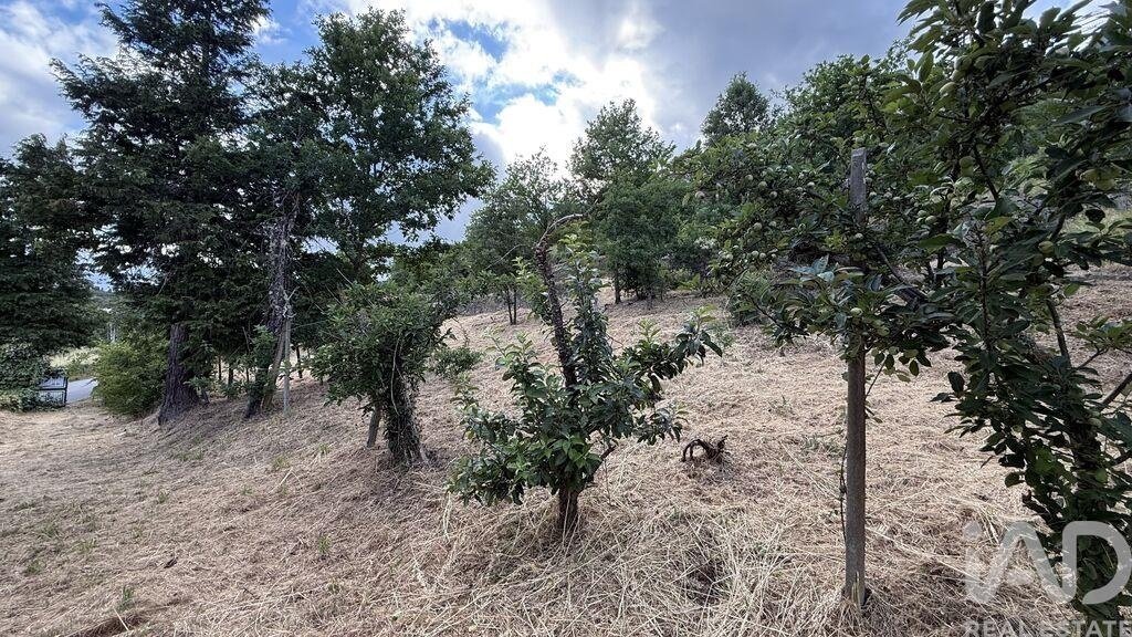 Farm Ranch in Parada de Cunhos, Vila Real District, Portugal 4 - 17859734