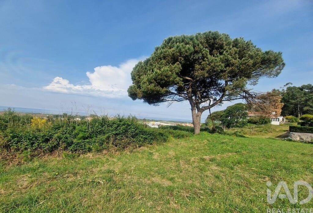 Land in Areosa, Viana do Castelo District, Portugal 2 - 18080388
