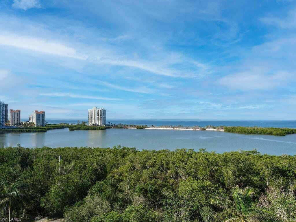 Condo in Naples, Florida, United States 1 - 18080167