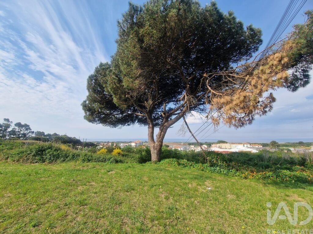 Land in Areosa, Viana do Castelo District, Portugal 4 - 18080388