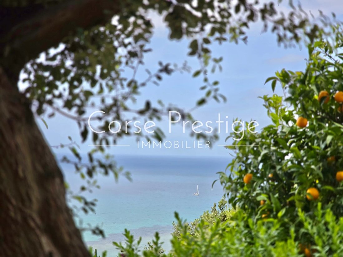 Villa in Saint-Florent, Corsica, France 2 - 18080115