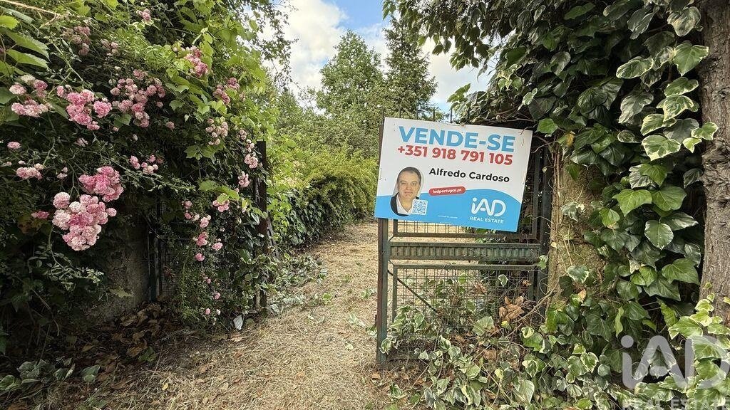 Farm Ranch in Parada de Cunhos, Vila Real District, Portugal 2 - 17859734