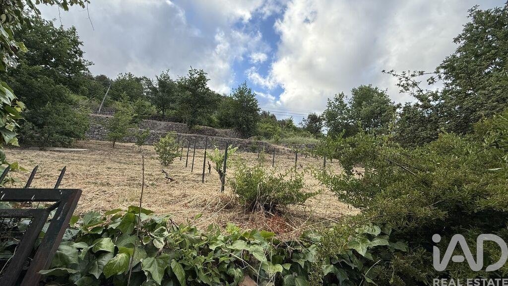 Farm Ranch in Parada de Cunhos, Vila Real District, Portugal 3 - 17859734