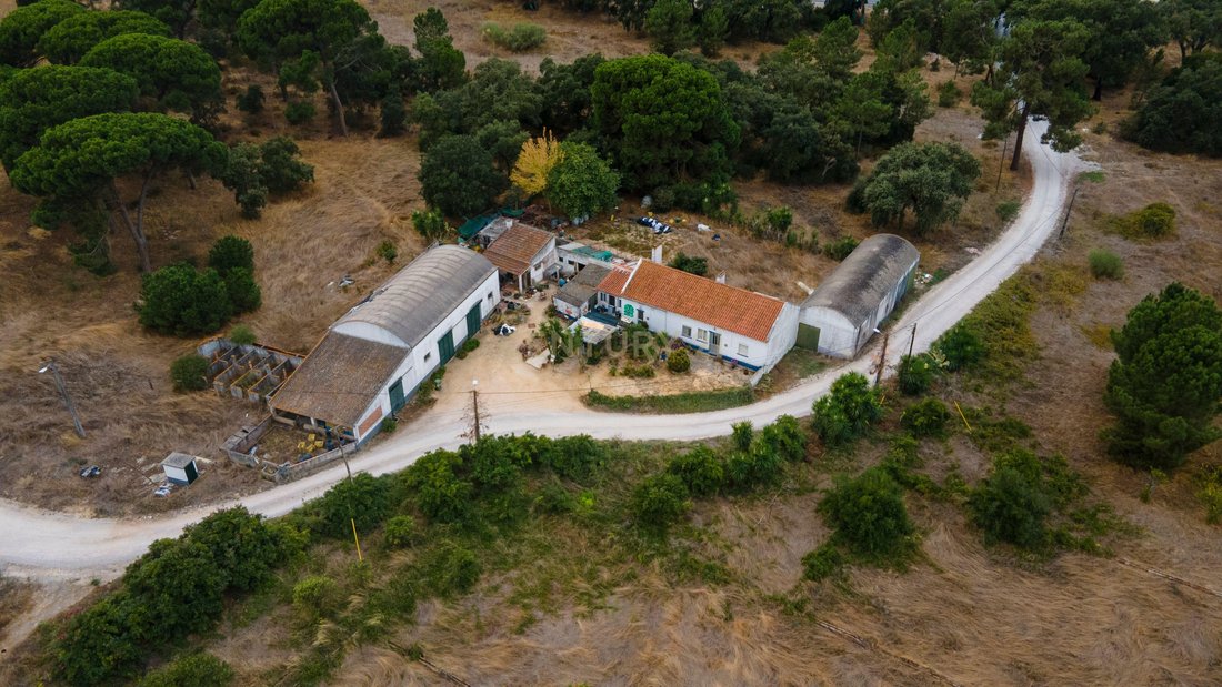 Farm Ranch in Palmela, Setubal, Portugal 1 - 18079969