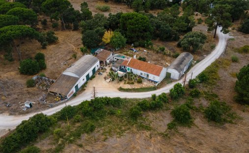 Azienda agricola a Palmela, Setúbal Municipality, Portogallo 1
