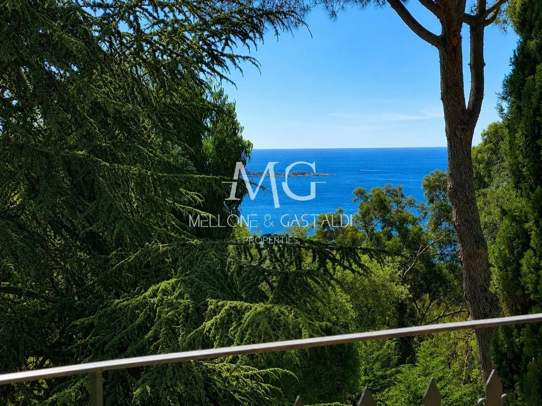 Villa in La Maure-Super Cannes, Vallauris, France 5 - 18055450