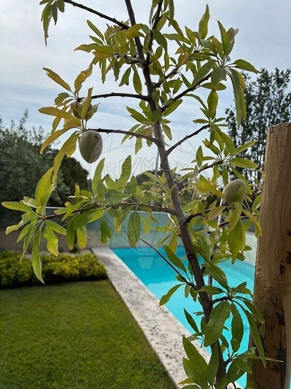 Apartment in Parque das Nacoes, Lisbon, Portugal 2 - 16532765