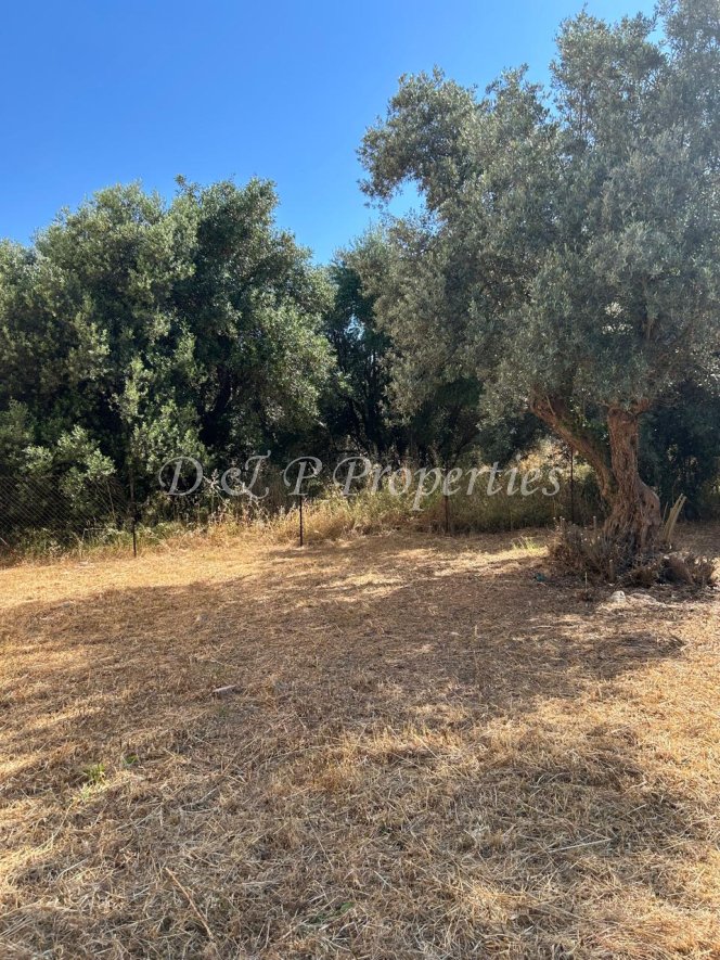 Land in Gytheio, Peloponnese, Western Greece and the Ionian, Greece 1 - 18000125