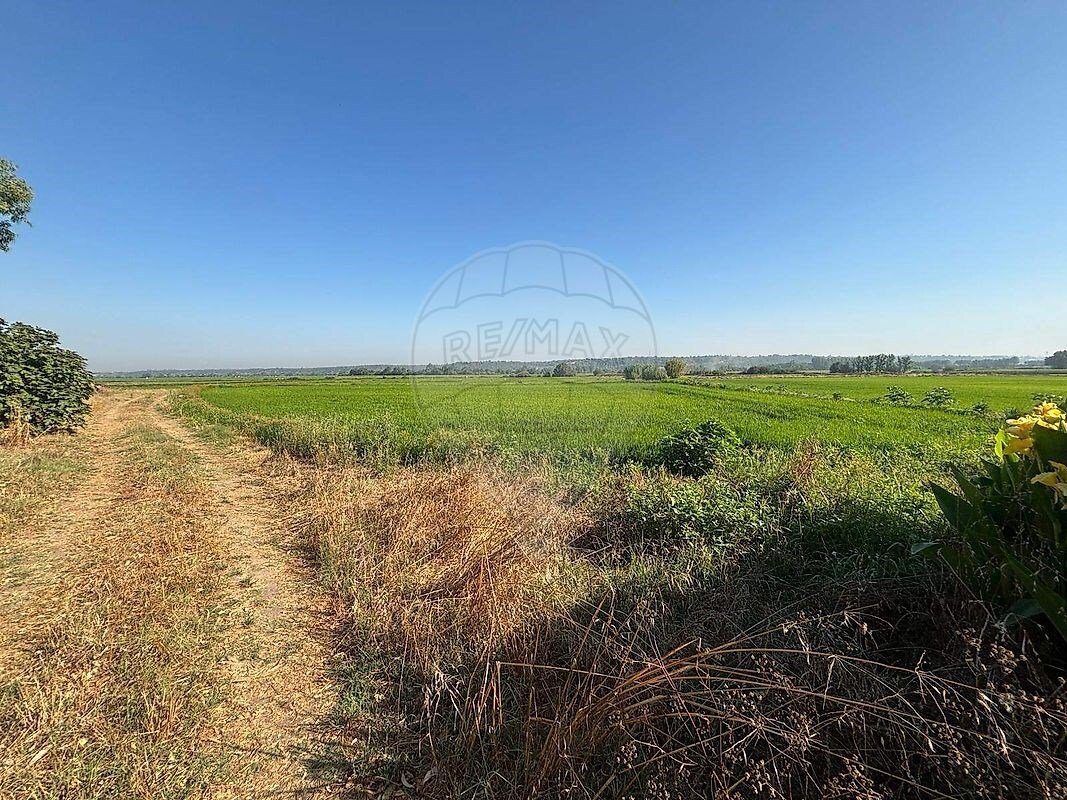 Farm Ranch in Biscainho, Santarem District, Portugal 2 - 16121550