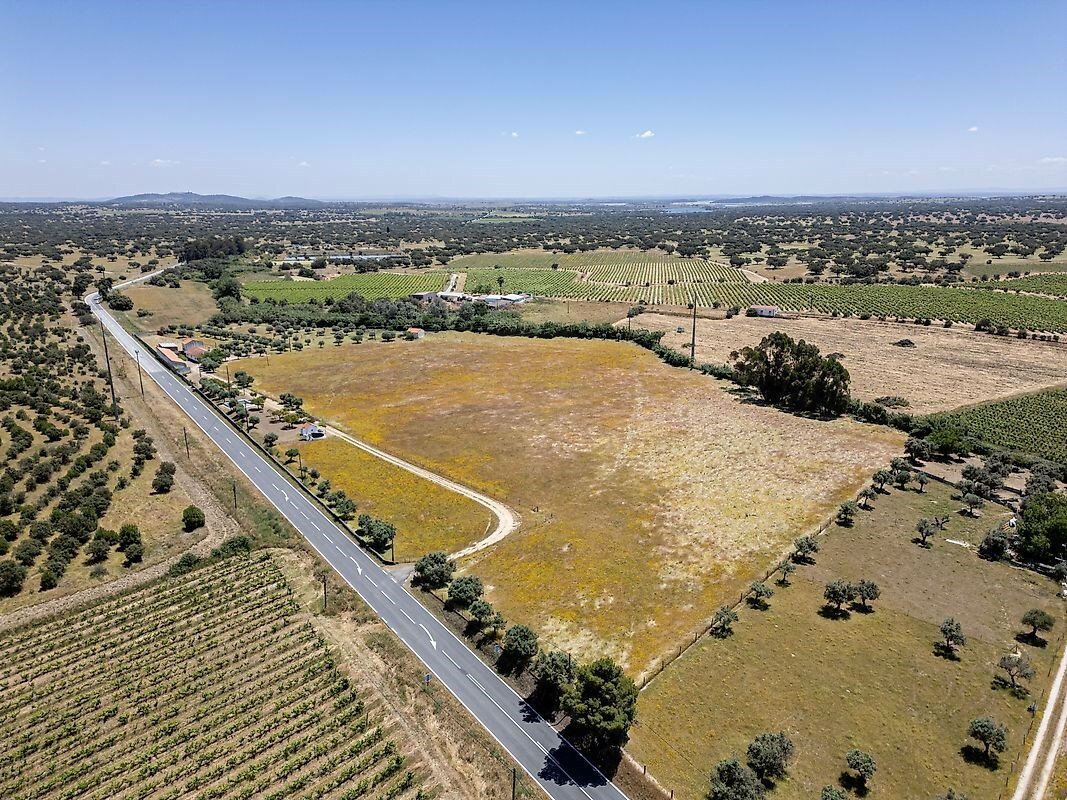 Farm Ranch in Reguengos de Monsaraz, Évora District, Portugal 2 - 15710830