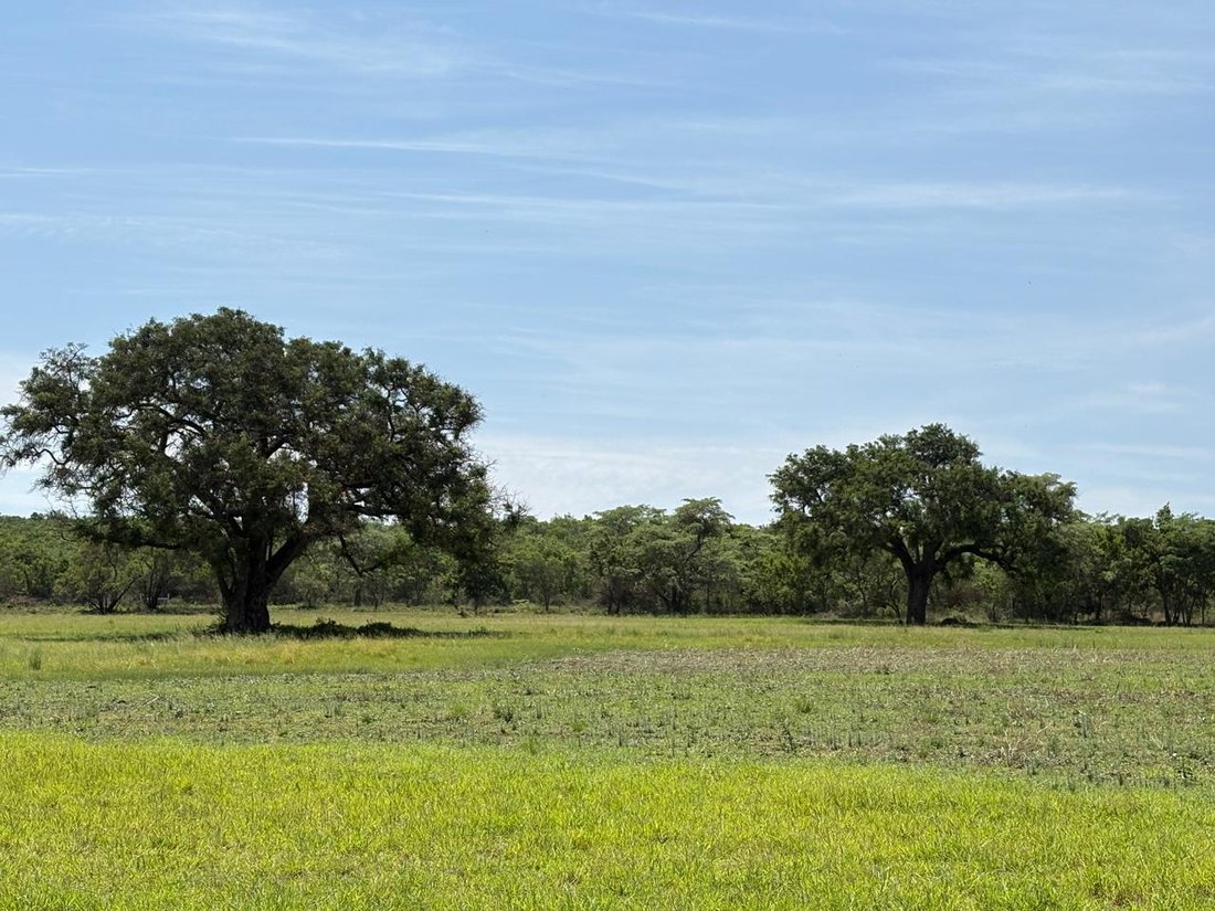 Farm Ranch in Modimolle, Limpopo, South Africa 5 - 18080604