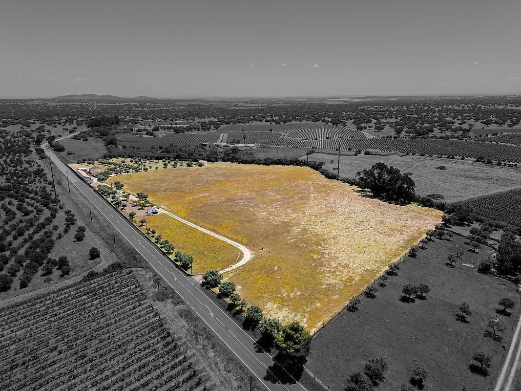 Farm Ranch in Reguengos de Monsaraz, Évora District, Portugal 3 - 15710830
