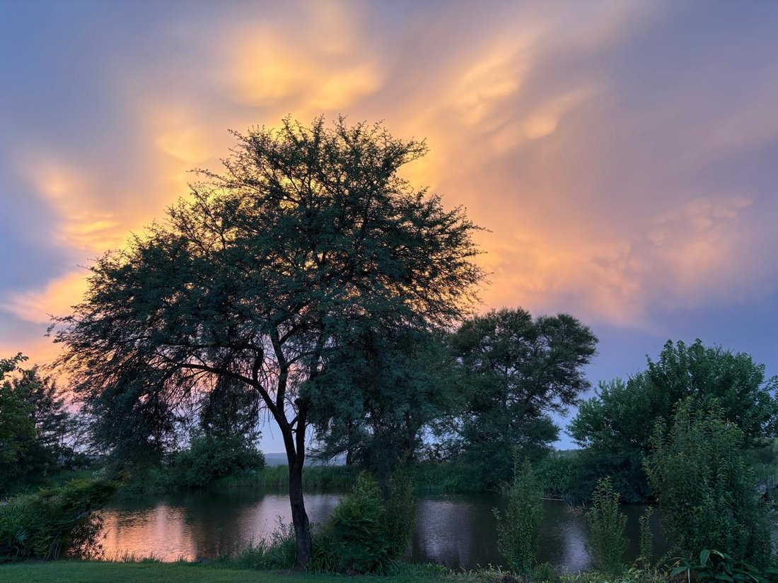 Farm Ranch in Modimolle, Limpopo, South Africa 2 - 18080604