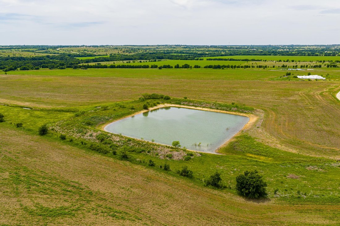 Farm Ranch in Cleburne, Texas, United States 5 - 18080259