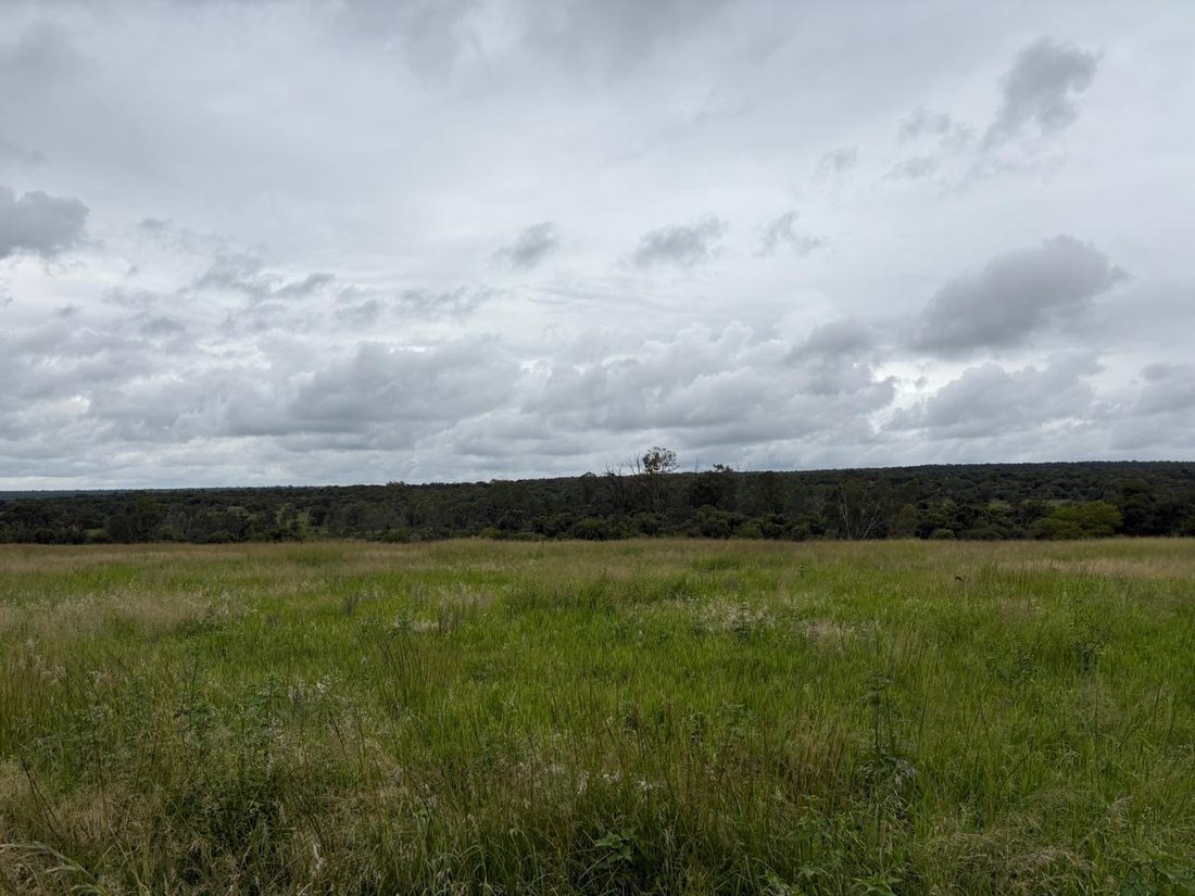 Farm Ranch in Modimolle, Limpopo, South Africa 1 - 18080604
