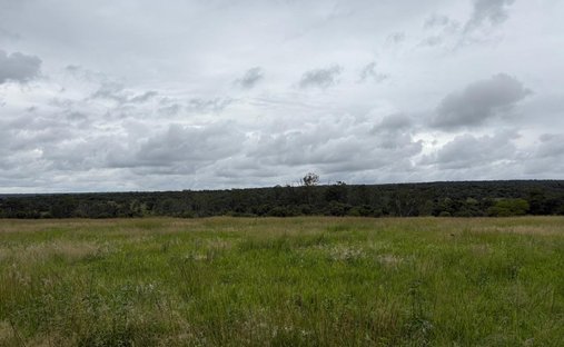 Farm Ranch in Modimolle, Limpopo, Südafrika 1