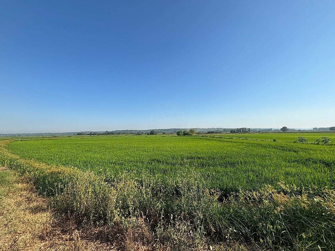 Farm Ranch in Biscainho, Santarem District, Portugal 3 - 16121550