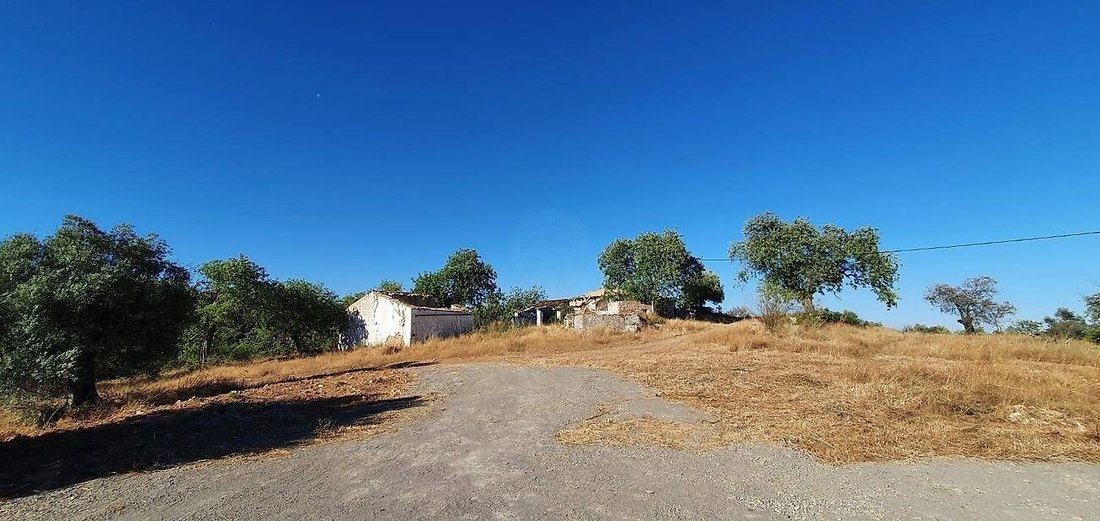 Farm Ranch in Santa Catarina da Fonte do Bispo, Algarve, Portugal 2 - 11862645