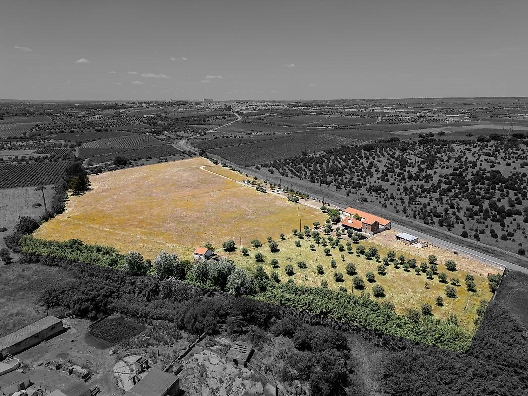 Farm Ranch in Reguengos de Monsaraz, Évora District, Portugal 1 - 15710830