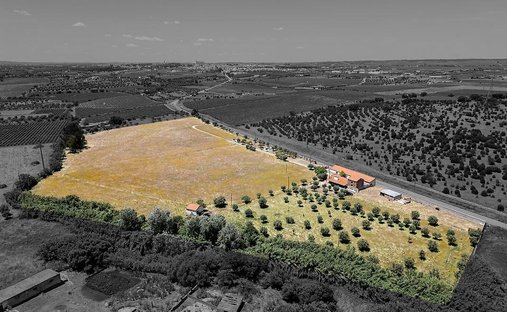 Azienda agricola a Reguengos de Monsaraz, Distretto di Évora, Portogallo 1