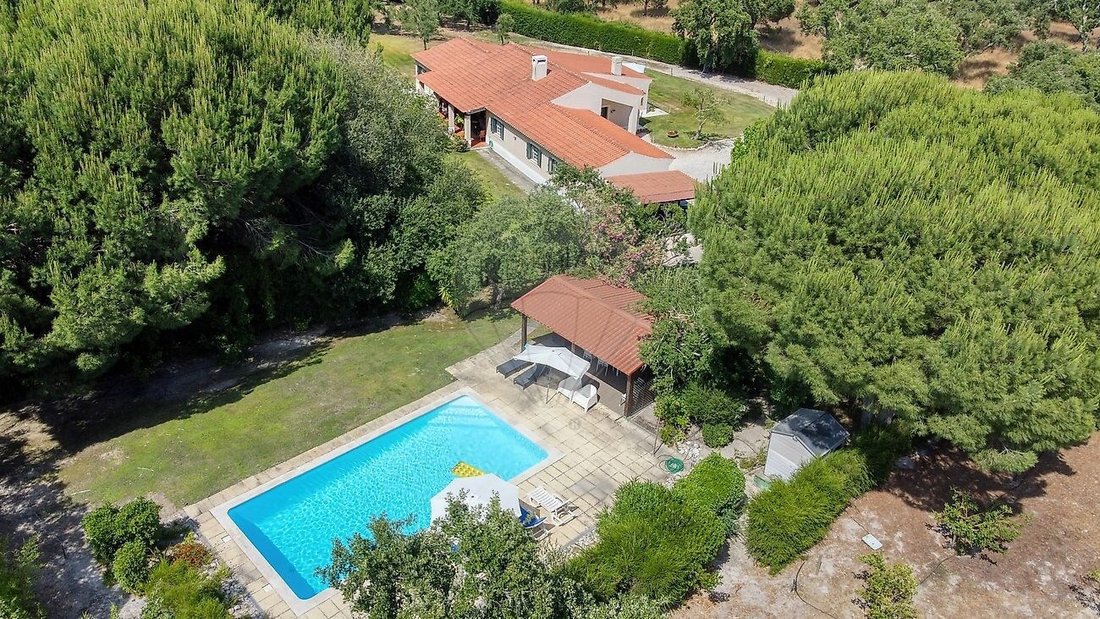 Villa in Santo Estevao, Santarem District, Portugal 1 - 15898556