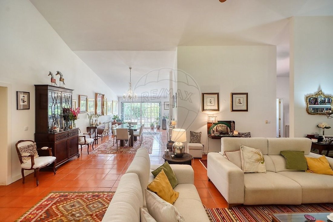 Villa in Santo Estevao, Santarem District, Portugal 3 - 15898556