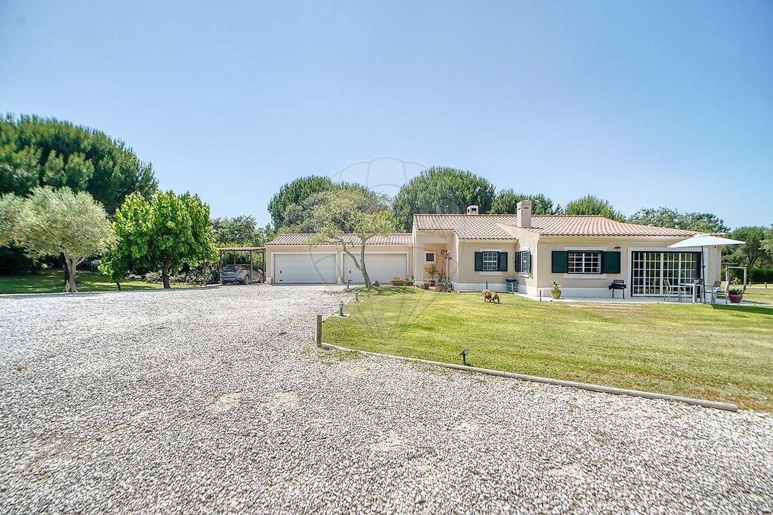 Villa in Santo Estevao, Santarem District, Portugal 4 - 15898556