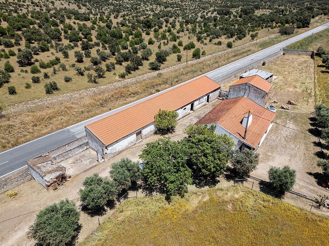 Farm Ranch in Reguengos de Monsaraz, Évora District, Portugal 4 - 15710830