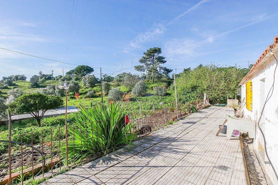 Villa in Azambuja, Lisbon, Portugal 2 - 15965614