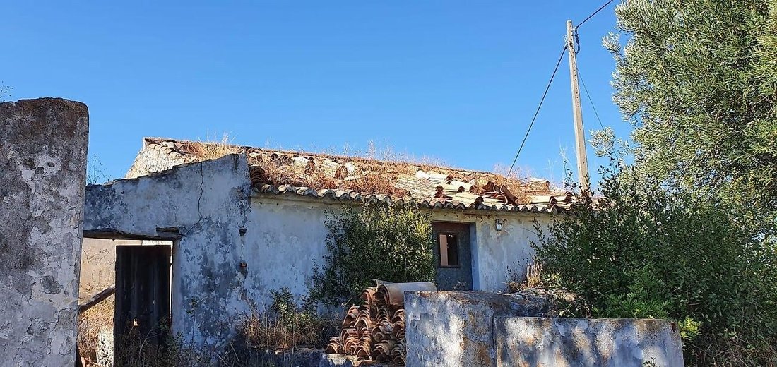 Farm Ranch in Santa Catarina da Fonte do Bispo, Algarve, Portugal 5 - 11862645