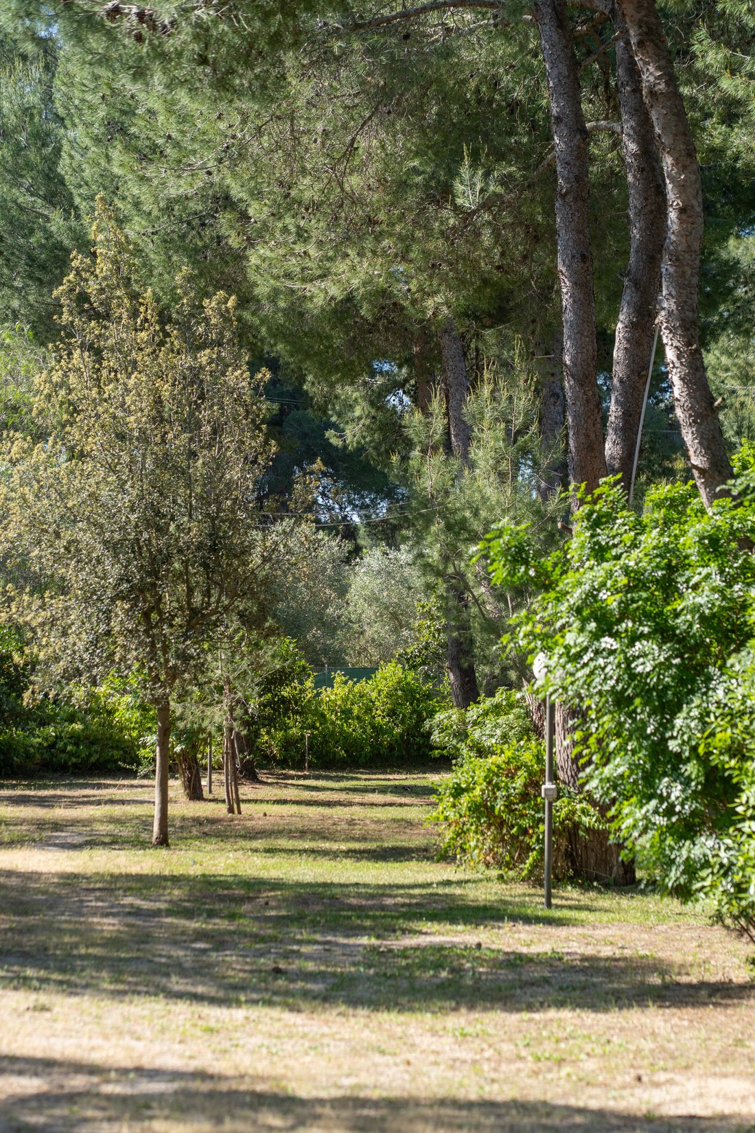 Villa in Saint Catherine, Nardo, Apulia 2 - 18080839