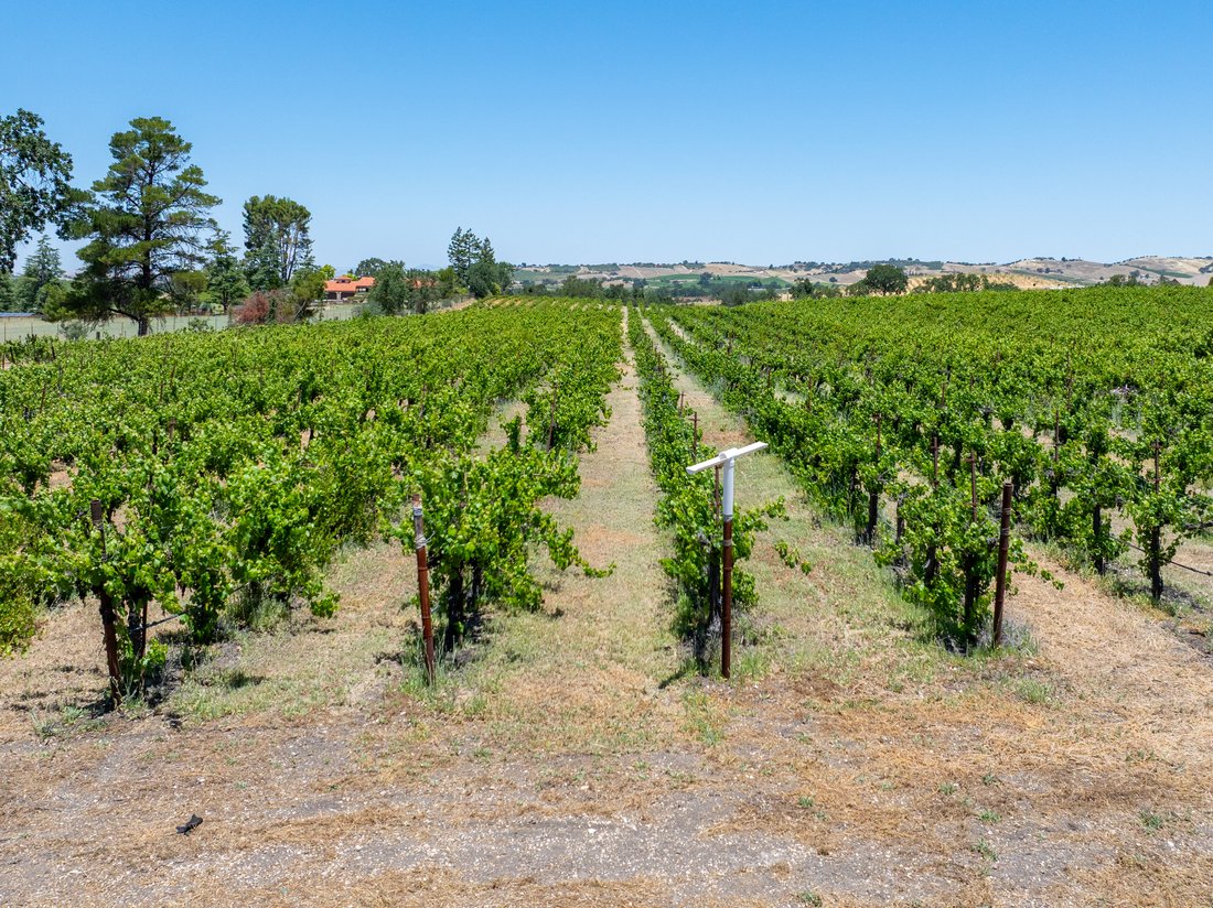 Land in Templeton, California, United States 1 - 18080803