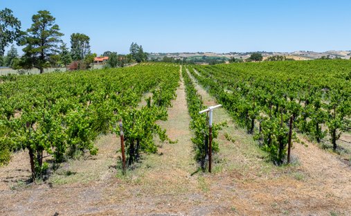 Land in Templeton, California, United States 1