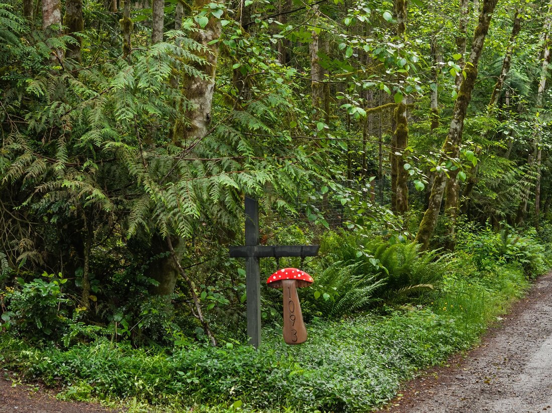 Poulsbo, Washington, United States 4 - 18080800