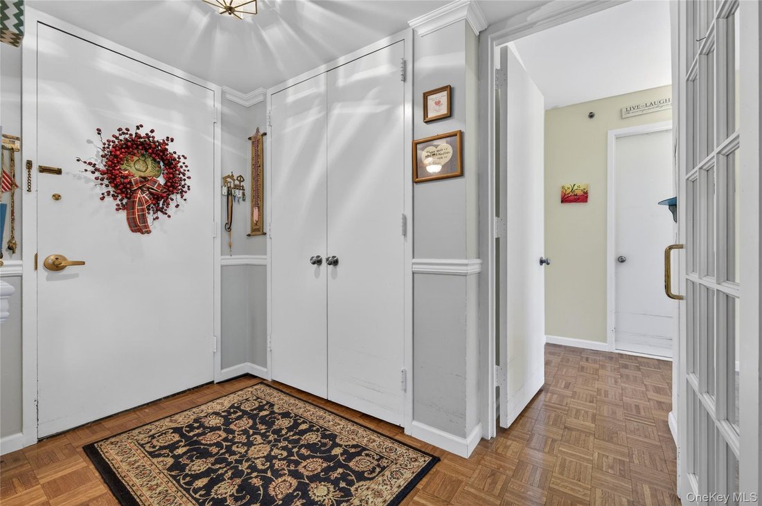 Condo in Garden City, New York, United States 4 - 18080830