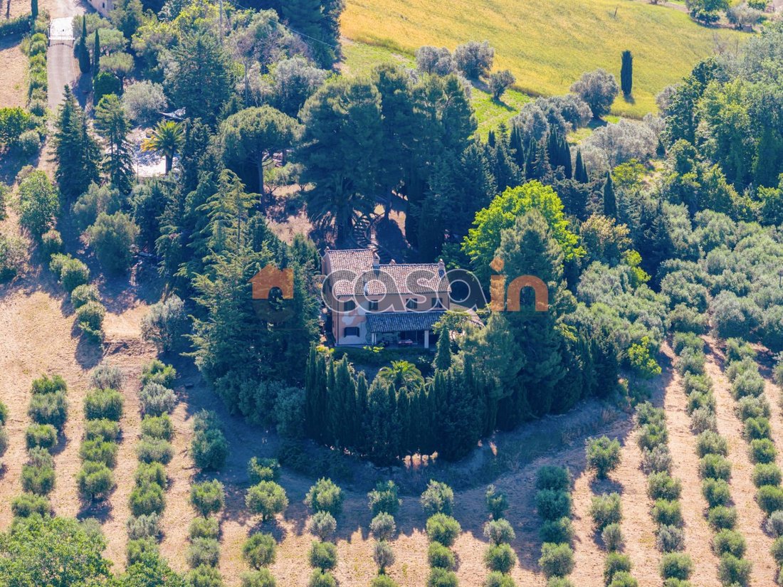 Villa in Acquaviva Picena, Marche, Italy 5 - 17402546
