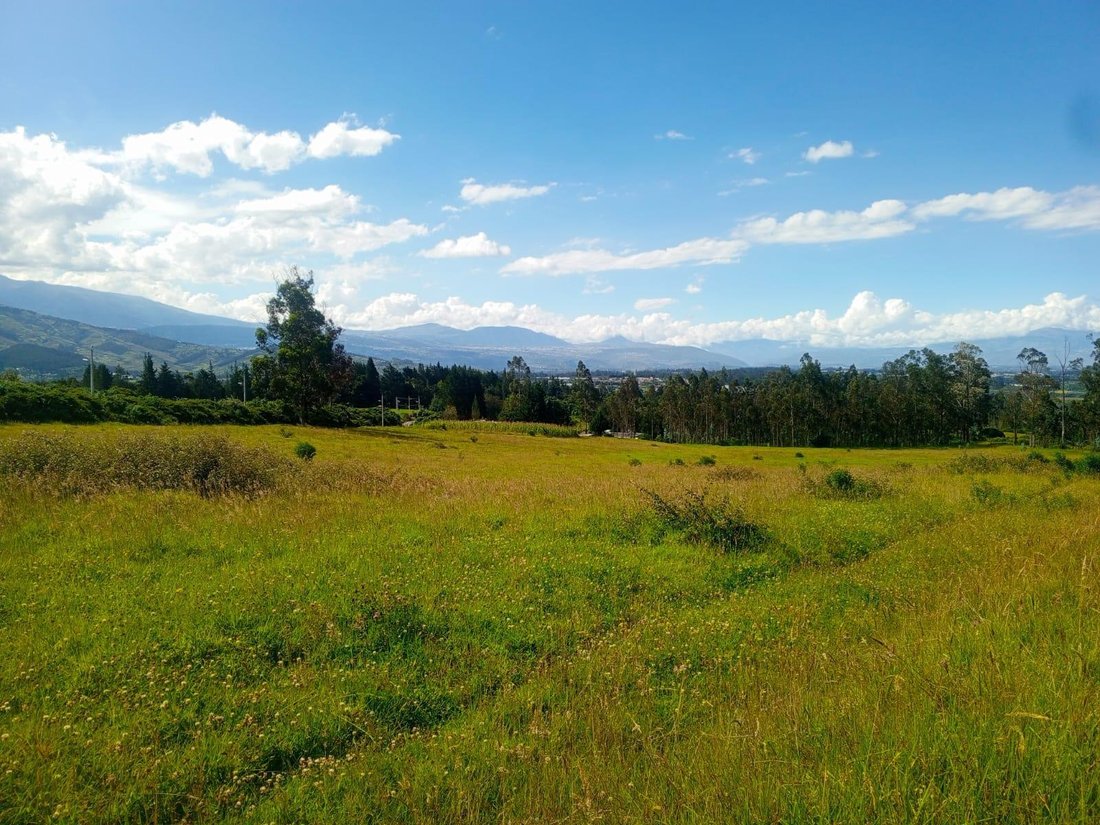 Land in Quito, Pichincha, Ecuador 2 - 18084344