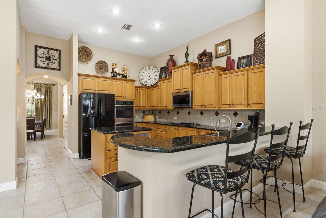 House in Palm Harbor, Florida, United States 3 - 18084998