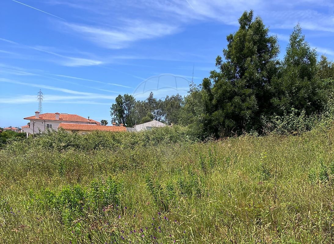 Land in Nogueira da Regedoura, Aveiro District, Portugal 4 - 17896345