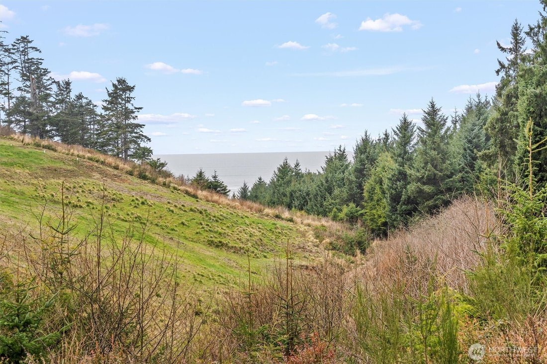 Land in Elma, Washington, United States 2 - 18082583