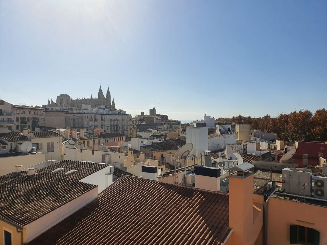 Apartment in Palma, Balearic Islands, Spain 5 - 18087179