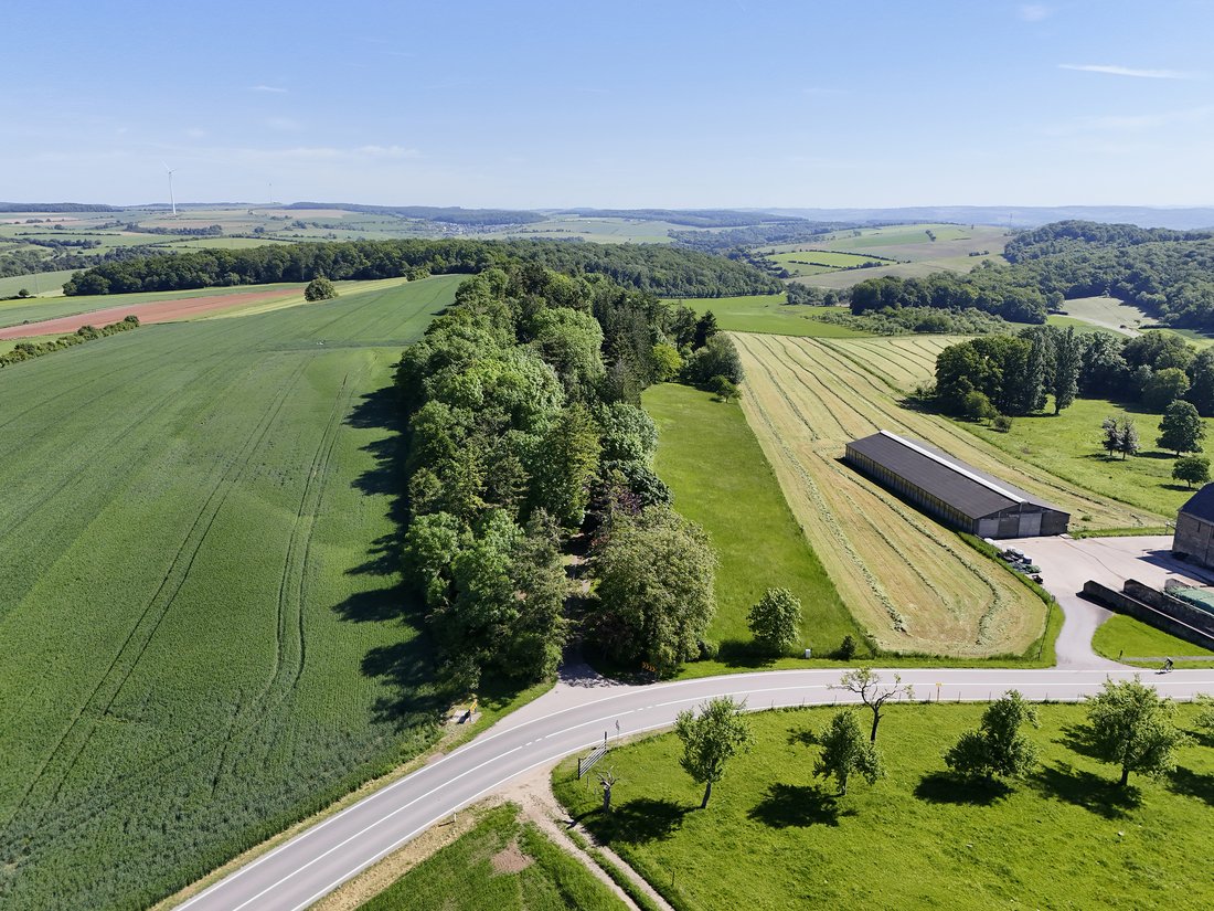 House in Manternach, Grevenmacher, Luxembourg 4 - 18080944