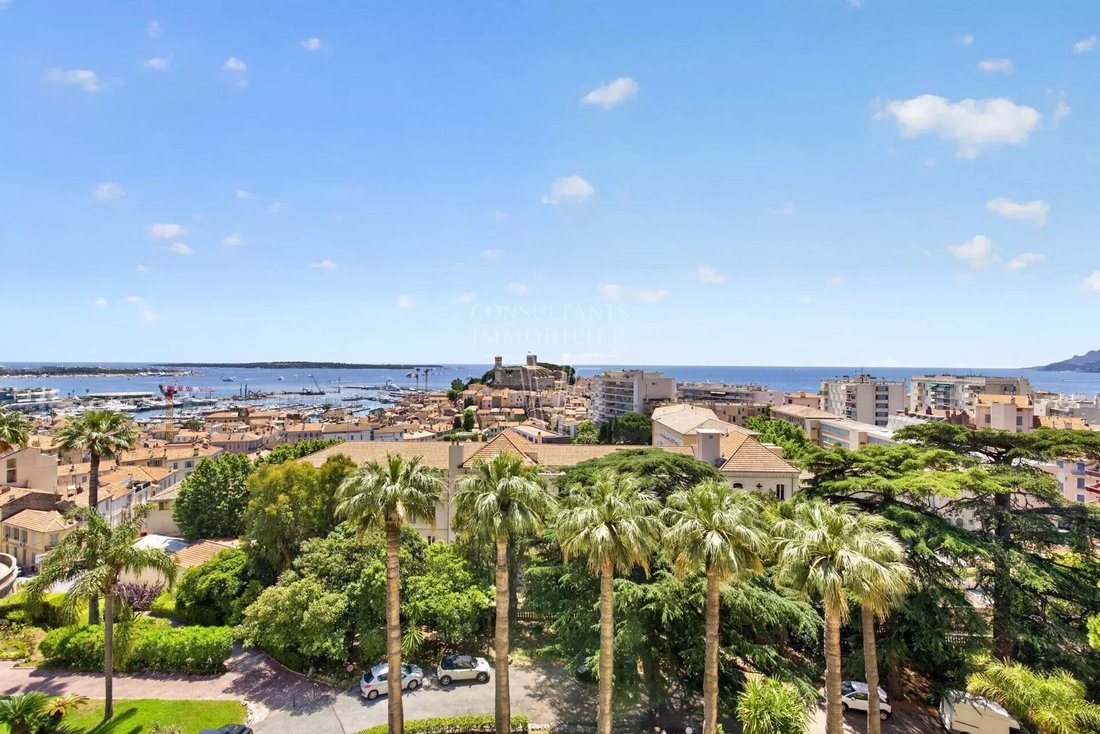 Apartment in Cannes, Provence-Alpes-Côte d'Azur, France 1 - 16625069
