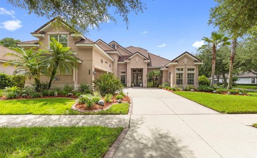 House in Tampa, Florida, United States 1