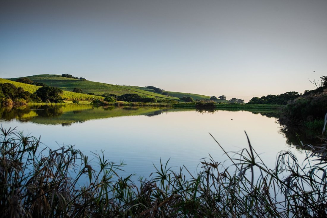 Farm Ranch in Dolphin Coast, KwaZulu-Natal, Südafrika 2 - 18082429
