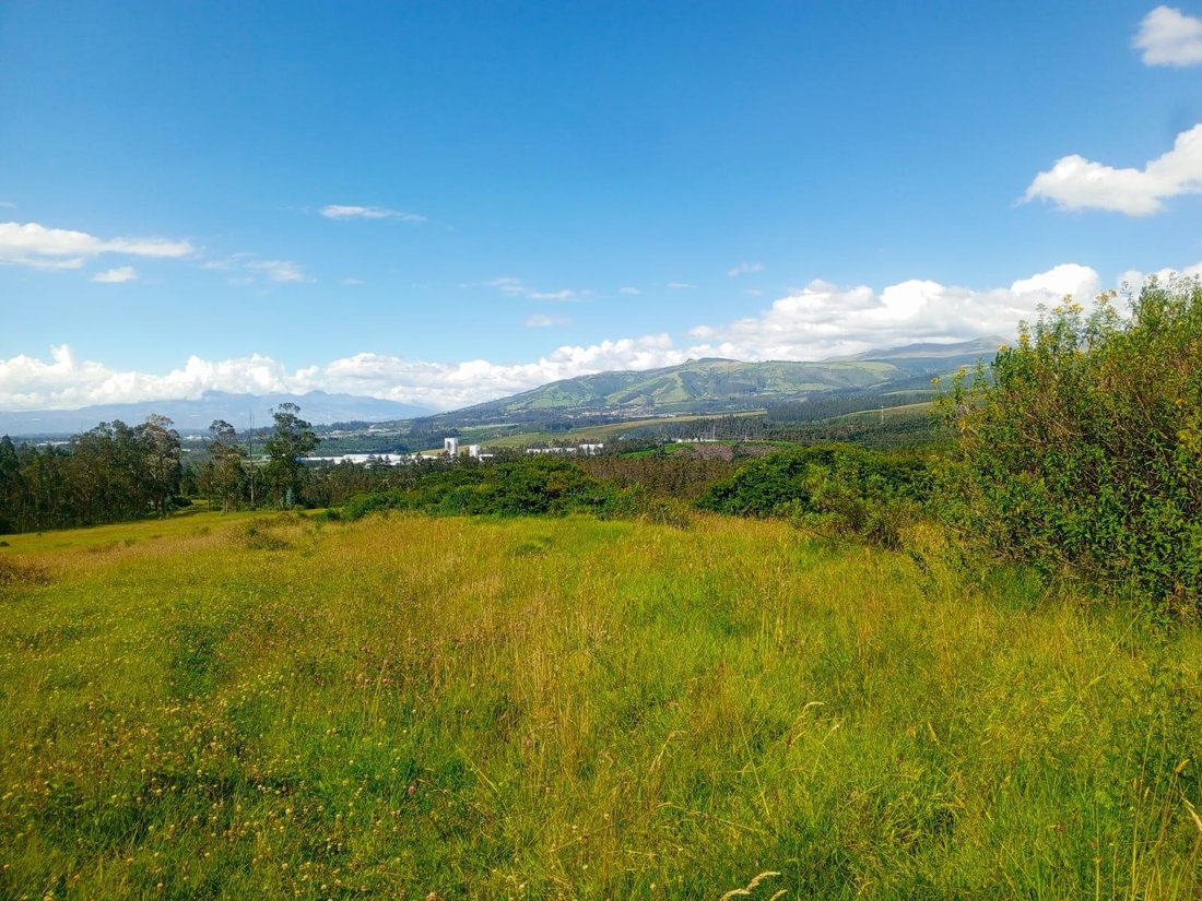 Land in Quito, Pichincha, Ecuador 4 - 18084344