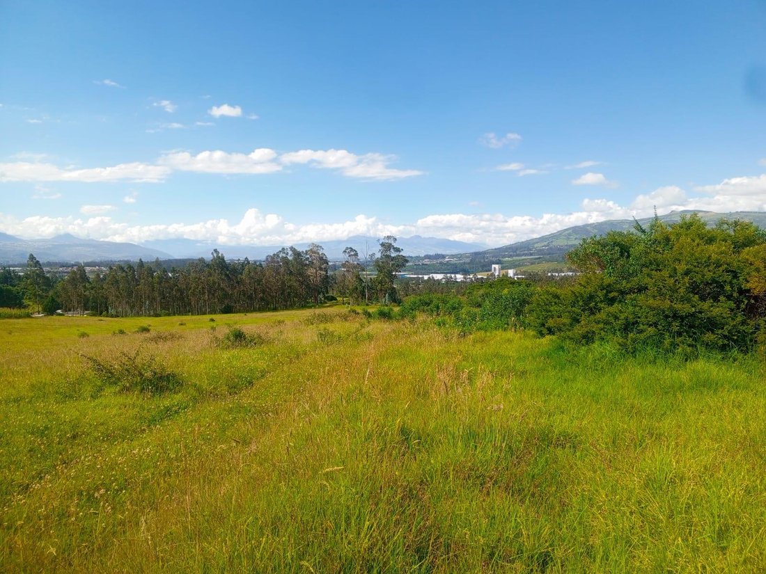 Land in Quito, Pichincha, Ecuador 3 - 18084344