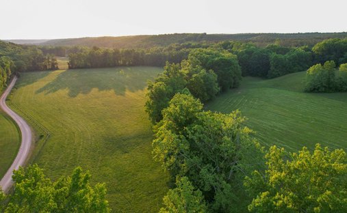 House in Hohenwald, Tennessee, United States 1